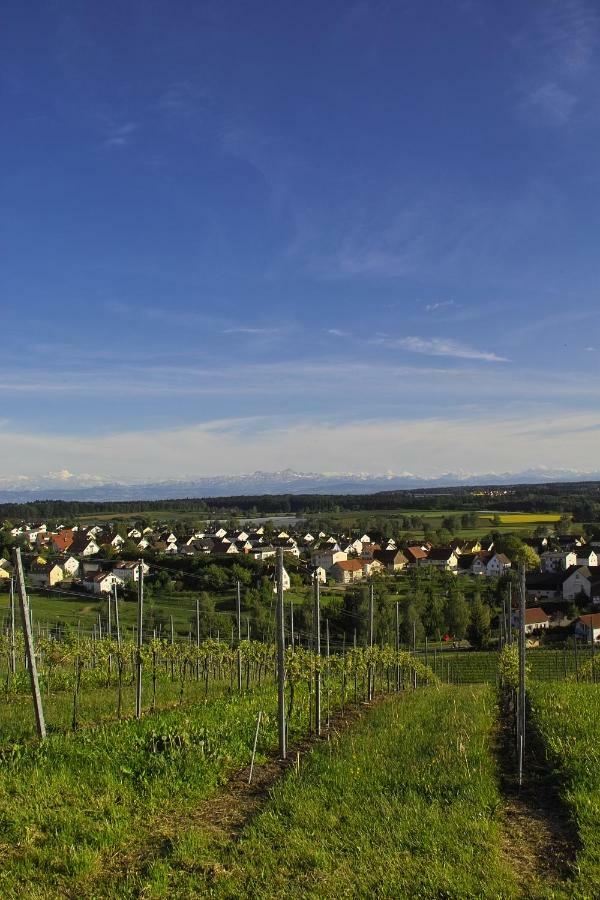 FeWo Schillerstraße Markdorf Exterior foto